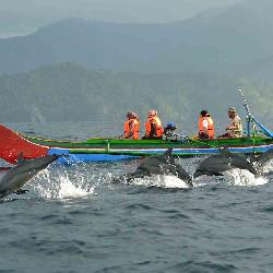Kiluan Bay Explore Start&nbsp;Jakarta