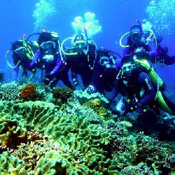 Morotai And Ternate Explore With Diving&nbsp;Trip