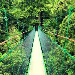 Ciwalen Canopy Trail & Cibeureum&nbsp;Waterfall